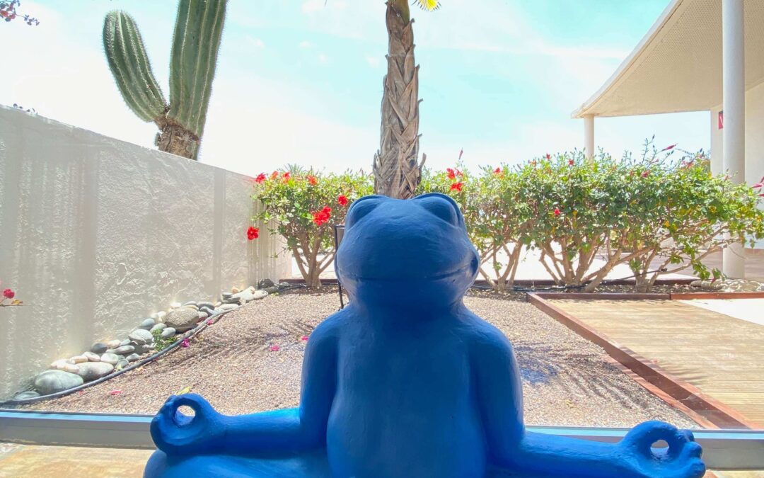 Waar verblijven en wat doen op Fuerteventura met je baby of peuter?